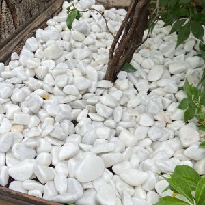 WhatsApp Image 2024-08-13 at 08.41.22_dfcfc6b0